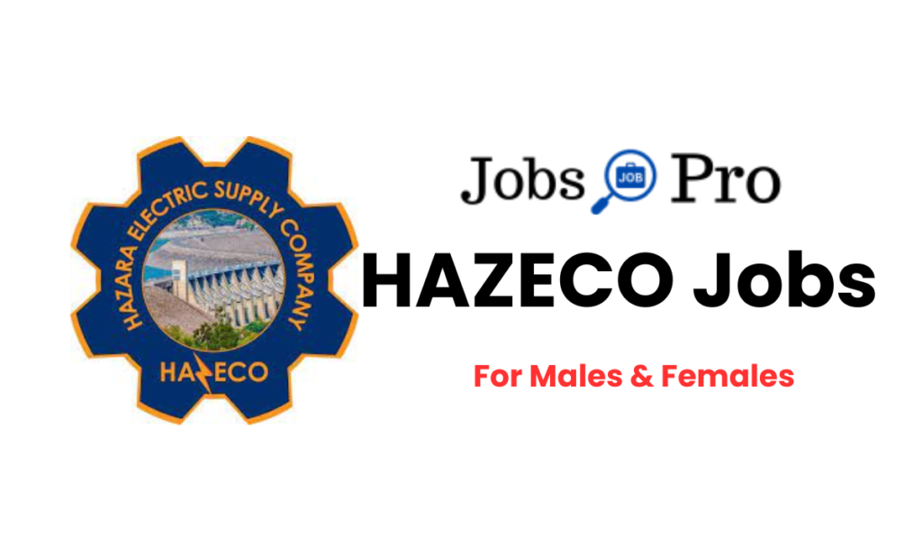 HAZECO Jobs 2024